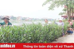 Đường hoa - con đường thân thiện