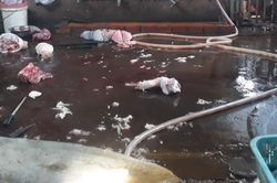 Phát hiện cơ sở giết mổ heo lậu ở Xuân Lộc
