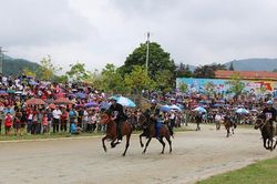 Hấp dẫn vòng loại Giải Đua ngựa truyền thống Bắc Hà 'Vó ngựa cao nguyên trắng' năm 2019