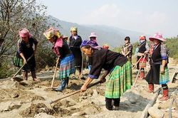 Người cao tuổi Mường La với phong trào 'Tuổi cao gương sáng'