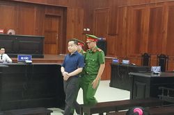 Phúc thẩm vụ án Ngân hàng Đông Á: Vũ 'nhôm' y án 17 năm tù