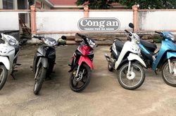 Triệt xóa hai ổ nhóm về trộm cắp tài sản