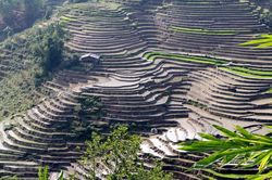 Hình ảnh Lai Châu lại nhộn nhịp bước vào mùa nước đổ