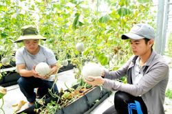 Xuất khẩu nông sản có dấu hiệu chựng lại