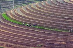 Về Bát Xát ngắm ruộng bậc thang mùa nước đổ