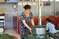 Minh Đài ngày mới
