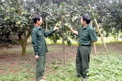 Hội CCB xã Lực Hành khắc ghi lời Bác dặn