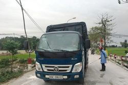 Hà Nội khống chế thành công 7 ổ dịch tả lợn châu Phi
