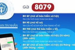 'Tương tác đa phương tiện' - hỗ trợ người dân tra cứu quá trình đóng – hưởng BHXH, BHYT