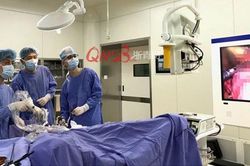 2 vợ chồng cùng bị ung thư ruột, bác sĩ khuyến cáo 3 điều 'hại bụng'