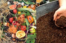 6 việc làm nhỏ hằng ngày cứu giúp muôn đời sau