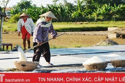 Diêm dân Hà Tĩnh: Trời càng nắng, đồng muối càng bội thu