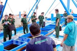 Sóc Trăng bắt tàu chở 100.000 lít dầu không rõ nguồn gốc