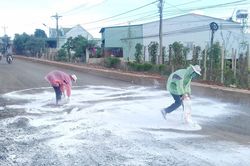Đức Cơ: Công bố dịch tả heo châu Phi