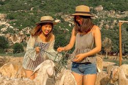 Đến đồng cừu Ninh Thuận để có bộ ảnh trên thảo nguyên độc lạ