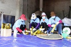 Liên kết chuỗi giá trị nông sản: Hướng đi cho các hợp tác xã