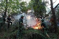 Giúp dân thiết thực, nghĩa tình