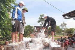 Dịch tả lợn châu Phi vẫn tiếp tục diễn biến phức tạp và lan rộng