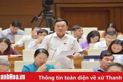 Phó trưởng Đoàn Đại biểu Quốc hội Thanh Hóa Mai Sỹ Diến thảo luận về dự thảo Luật sửa đổi, bổ sung một số điều của Luật Tổ chức Chính phủ và Luật Tổ chức chính quyền địa phương