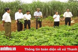 Khắc ghi lời Bác dạy 'Thi đua là yêu nước, yêu nước thì phải thi đua'