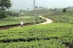Bảo Thắng phấn đấu năm 2020 đạt huyện nông thôn mới