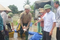 Đảng bộ xã Sơn Thủy lãnh đạo nhân dân chuyển dịch cơ cấu kinh tế