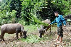 Đồng hành với thanh niên khởi nghiệp