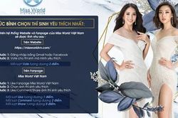 Miss World Việt Nam: Đặc cách thí sinh vào thẳng Vòng Chung kết toàn quốc