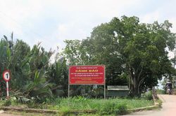 Cẩn trọng trong giao dịch đất nền