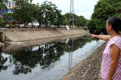 Kiên quyết xử lý vi phạm pháp luật thủy lợi