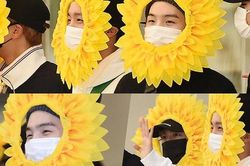 Bộ 3 BTS 'ngụy trang' bằng hoa hướng dương khi về nước