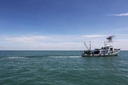 Thái-lan hạn chế đánh bắt cá bảo vệ sinh vật biển