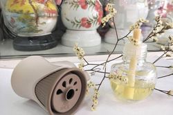 Bí kíp đơn giản đến giật mình giúp nhà mát rượi dù trời nóng đổ lửa