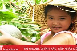 Trải nghiệm hè, bé 'đổ bộ' mô hình trồng dưa lưới