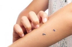 Xua muỗi đơn giản, hiệu quả với 9 thảo mộc tự nhiên