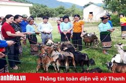 Trao hỗ trợ 37 con dê giống sinh sản cho hội viên, phụ nữ nghèo dân tộc thiểu số
