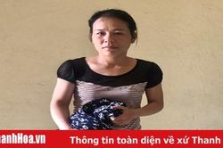 Công an huyện Quảng Xương bắt đối tượng liên tiếp gây ra 4 vụ trộm cắp tài sản