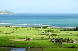 Những cánh đồng tỏi ở Ninh Vân