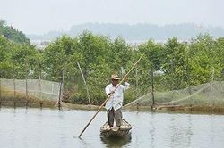 Hoang sơ miền Rú Chá