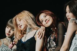 Fan Việt sốt sình sịch trước tin BTS, BLACKPINK diễn ở sân Mỹ Đình tháng 11/2019