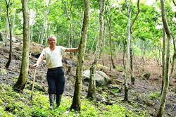 Tỷ phú sưa đỏ người Dao