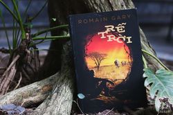 'Rễ trời' - Tiếng kêu cứu của hệ sinh quyển