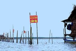 Chuyển cơ quan điều tra các sai phạm tại Vườn quốc gia Mũi Cà Mau