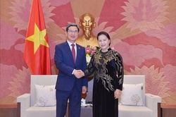 Chủ tịch Quốc hội Nguyễn Thị Kim Ngân tiếp Chủ tịch Nhóm Nghị sĩ hữu nghị Hàn Quốc-Việt Nam