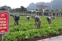 Điểm sáng hậu cần ở Trung đoàn 335