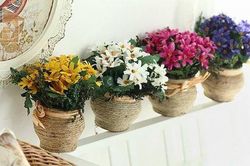 Đặt vật này tùy tiện trong nhà, nghèo mạt vận không ngóc đầu lên được