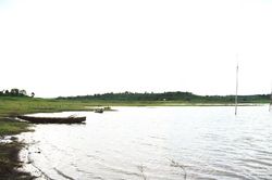 Bao năm ngóng trông một cây cầu