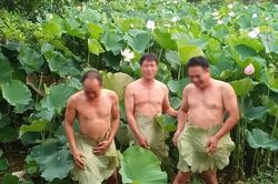 Mùa sen chưa rộ, loạt ảnh nude phản cảm đã khiến dân tình 'đau mắt'