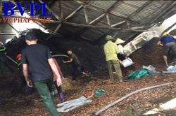 Hơn 200 cảnh sát, bộ đội tham gia chữa cháy nhà kho chứa... trấu và vỏ lạc