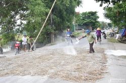 Chấn chỉnh hoạt động của các chốt chặn dịch tả lợn châu Phi